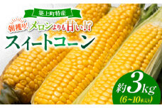 【令和7年6月18日締切】 築上町 特産品 スイートコーン 約3kg 【京築の恵み】《築上町》【JA福岡京築　営農部】 [ABAW001] 9000円 とうもろこし コーン スイートコーン もろこし 人気 野菜 甘い おすすめ