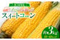 とうもろこし コーン スイートコーン もろこし 人気 野菜 甘い おすすめ