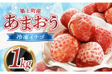 築上町産 あまおう 冷凍 イチゴ 1kg《築上町》【エースいちご株式会社】 [ABAG001] 8000円