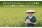米 お米 こめ コメ ご飯 白米 ミルキークイーン 3kg 国産 ギフト 贈り物 特別栽培米 県産米 農産物 ふっくら