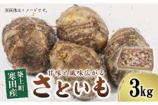 【築上町寒田産】さといも 3kg《築上町》【まこちの里】 [ABBD001] 7000円