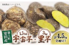 【築上町寒田産】 宇宙芋 + 里芋 2種 セット《築上町》【まこちの里】 [ABBD003] 10000円