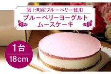 【築上町産ブルーベリー使用】 ブルーベリー ヨーグルト ムース ケーキ《築上町》【(有)工房よしかわ】 国産 ブルーベリー [ABAK002] 12000円
