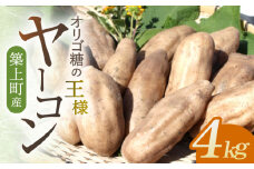 築上町産 ヤーコン 4kg ～オリゴ糖の王様～《築上町》【信田　淳】 [ABBC002] 7000円