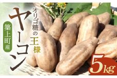 築上町産 ヤーコン 5kg ～オリゴ糖の王様～《築上町》【信田　淳】 [ABBC003] 10000円