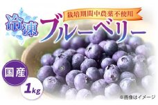 【先行予約受付中】築上町産 冷凍 ブルーベリー 1kg【2025年9月以降順次発送】《築上町》【(有)工房よしかわ】国産 ブルーベリー [ABAK001] 12000円