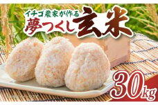 【令和5年産】イチゴ農家がつくる お米 「 夢つくし 玄米 」 30kg《築上町》【エースいちご株式会社】 [ABAG007] 38000円