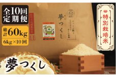 【全10回定期便】【先行予約・令和7年産】特別栽培米 夢つくし 6kg 《築上町》【Nouhan農繁】[ABAU037] 精米 米 ご飯 ごはん こめ コメ 120000円