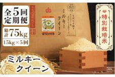 【全5回定期便】【先行予約・令和7年産】特別栽培米 ミルキークイーン 15kg 《築上町》【Nouhan農繁】[ABAU040] 精米 米 ご飯 ごはん こめ コメ 127000円