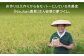 米 お米 こめ コメ ご飯 白米 夢つくし 9kg 国産 ギフト 贈り物 贈答 特別栽培米 県産米 減農薬 エコ 農産物
