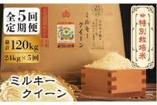 【全5回定期便】【先行予約・令和7年産】特別栽培米 ミルキークイーン 24kg 《築上町》【Nouhan農繁】[ABAU044] 精米 米 ご飯 ごはん こめ コメ 200000円