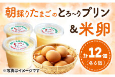 城井ふる里村 の 朝採りたまご の とろ～り プリン + 米卵 セット《築上町》【城井ふる里村有限会社】 たまご 卵 玉子 [ABAZ002] 10000円