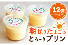 城井ふる里村 の 朝採りたまご の とろ～り プリン 12個《築上町》【城井ふる里村有限会社】 たまご 卵 玉子 [ABAZ004] 15000円