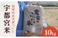 米 お米 こめ コメ ご飯 白米 夢つくし 10kg 国産 ギフト 贈り物 県産米  農産物 宇都宮米 ふっくら 築上町産