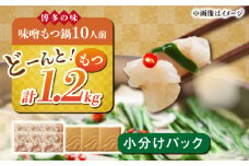 博多 味噌 もつ鍋 10人前《築上町》【株式会社MEAT PLUS】 小分け セット [ABBP008] 13000円