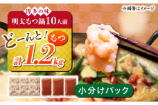 【ランキング１位受賞！】 博多 明太 もつ鍋 セット 10人前《築上町》【株式会社MEAT PLUS】 小分け セット [ABBP011] 14000円