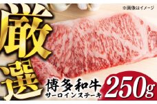 【厳選部位使用！】博多和牛 A4以上 サーロイン ステーキ 250g×1枚《築上町》【株式会社MEAT PLUS】 牛肉 肉 [ABBP006] 10000円