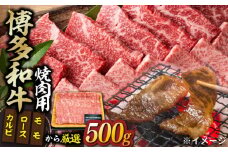 【和牛の旨味を堪能！】博多和牛 焼肉用 500g《築上町》【株式会社MEAT PLUS】 牛肉 BBQ [ABBP012] 12000円