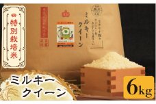 【先行予約・令和7年産新米】特別栽培米 ミルキークイーン 6kg 《築上町》【Nouhan農繁】 [ABAU016] 精米 米 ご飯 ごはん こめ コメ 14000円