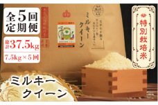 【全5回定期便】【先行予約・令和7年産】特別栽培米 ミルキークイーン 7.5kg 《築上町》【Nouhan農繁】[ABAU033] 精米 米 ご飯 ごはん こめ コメ 82000円