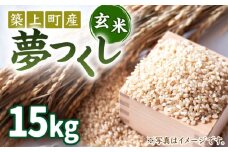 【先行予約・令和6年産新米】お米屋さんからお届けする「 夢つくし - 玄米 -」15kg《築上町》【末永商店】 [ABBW004]  玄米 お米 ゆめつくし 新米 15キロ 21000円