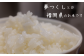 夢つくし 10kg 米 ご飯 白米 ギフト 贈り物  農産物 ふっくら おすすめ