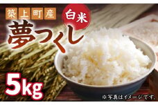 【先行予約・令和6年産新米】お米屋さんからお届けする「 夢つくし 」5kg《築上町》【末永商店】 [ABBW001] 白米 お米 ゆめつくし 新米 10キロ 10000円