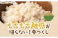米 お米 こめ コメ ご飯 玄米 夢つくし 10kg 国産 ギフト 贈り物 贈答 県産米 減農薬 エコ 農産物 ふっくら 築上町