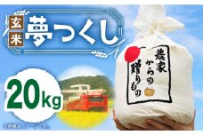 【令和7年産新米】【先行予約】ひかりファーム の 夢つくし - 玄米 - 20kg【2025年10月以降順次発送】《築上町》【ひかりファーム】 [ABAV013] 玄米 お米 コメ 白米 32000円
