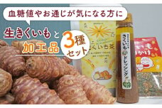 【令和5年産】築上町 特産品 「 生 きくいも と 加工品 セット 」《築上町》【合同会社豊築マルシェモンステラ】 [ABBZ003] 17000円