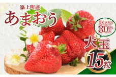 築上町産 あまおう <月> 1箱 15粒【1月中旬以降順次発送】《築上町》【エースいちご株式会社】 大粒 あまおう 苺 いちご プレゼント ギフト 贈答 [ABAG004] 14000円