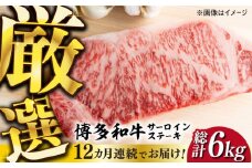 【全12回定期便】【溢れる肉汁と濃厚な旨味】博多和牛サーロインステーキセット 500g(250g×2枚)《築上町》【株式会社MEAT PLUS】 牛肉 肉 [ABBP032] 184000円