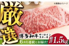 【全6回定期便】【厳選部位使用！】博多和牛A4以上サーロインステーキ250g×1枚《築上町》【株式会社MEAT PLUS】 牛肉 肉 [ABBP046] 56000円