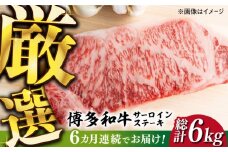 【全6回定期便】【溢れる肉汁と濃厚な旨味】博多和牛サーロイン1kg（250g×4枚）《築上町》【株式会社MEAT PLUS】 牛肉 肉 [ABBP052] 180000円