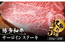 【訳あり】博多和牛 サーロイン ステーキ セット 5kg（250g×20枚）《築上町》【株式会社MEAT PLUS】 牛肉 肉 [ABBP065] 150000円