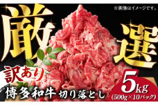 【訳あり】博多和牛 切り落とし 5kg(500g×10p）《築上町》【株式会社MEAT PLUS】 牛肉 肉 [ABBP066] 60000円