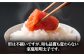 明太子 博多明太子 海産物 海鮮 魚卵 めんたいこ おかず 