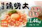 明太子 博多明太子 海産物 海鮮 魚卵 めんたいこ おかず 