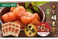明太子 博多明太子 海産物 海鮮 魚卵 めんたいこ おかず 