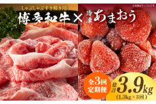 【全3回定期便】【訳あり】博多和牛 しゃぶすき ＆ あまおう セット 1.3kg《築上町》【株式会社MEAT PLUS】 [ABBP100] 49000円