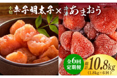 【全6回定期便】【訳あり】辛子明太子 小切1kg（100g×10p）＆ あまおう セット1.8kg《築上町》【株式会社MEAT PLUS】 [ABBP110] 90000円