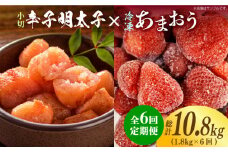 【全6回定期便】【訳あり】辛子明太子 小切1kg（100g×10p）＆ あまおう セット1.8kg《築上町》【株式会社MEAT PLUS】 [ABBP110] 90000円