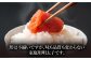 明太子 博多明太子 海産物 海鮮 魚卵 めんたいこ おかず 