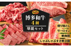 博多和牛 堪能セット 《築上町》【株式会社MEAT PLUS】 [ABBP117] 57000円