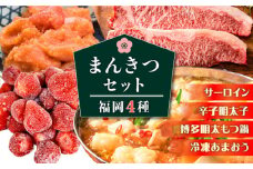福岡満喫セット 《築上町》【株式会社MEAT PLUS】 [ABBP118] 45000円