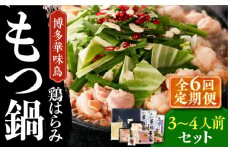 【全6回定期便】博多華味鳥 博多もつ鍋 鶏はらみ セット 3~4人前 《築上町》【トリゼンフーズ】博多 福岡 鍋 鶏 もつ もつ鍋 [ABCN016] 66000円