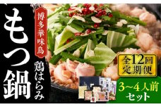 【全12回定期便】博多華味鳥 博多もつ鍋 鶏はらみ セット 3~4人前 《築上町》【トリゼンフーズ】博多 福岡 鍋 鶏 もつ もつ鍋 [ABCN017] 132000円