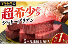 【全5回定期便】＼超極厚 希少部位！／ ヒレ シャトーブリアン 200g × 5枚 博多和牛 《築上町》【久田精肉店】 肉 牛肉 赤身 1kg 5kg 定期便 [ABCL031] 1000000円