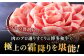 牛肉 肉 博多和牛 ギフト 贈答 すき焼き すきやき しゃぶしゃぶ ロース