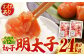 明太子 博多明太子 海産物 海鮮 魚卵 めんたいこ おかず 